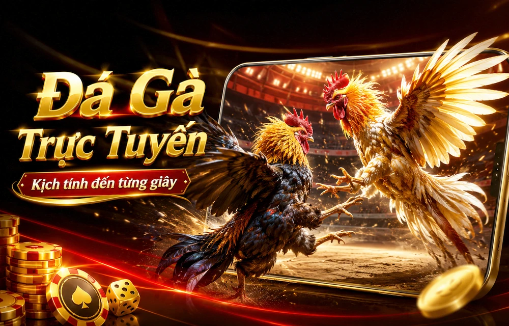 Hỏi đáp thực tế về Tài khoản dành cho người mới